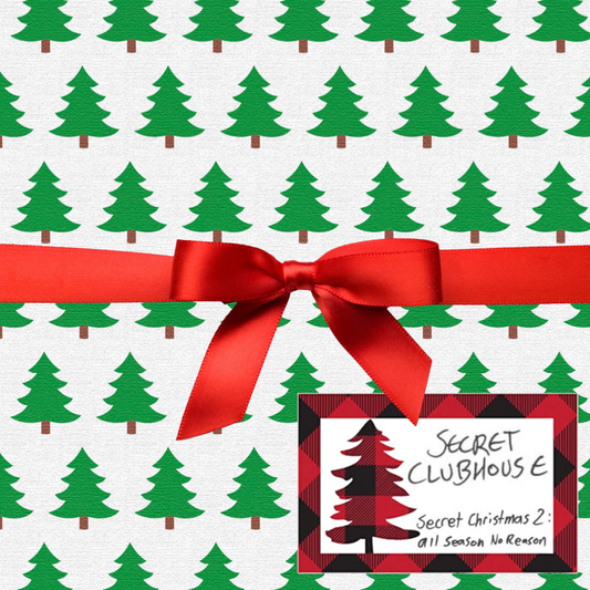 CD - Secret Christmas 2: All Season No Reason